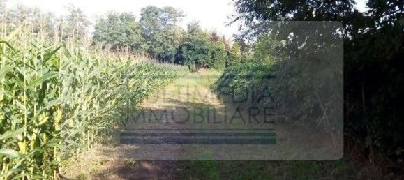 3850m² Land in Rho, Italy No. 158969 10
