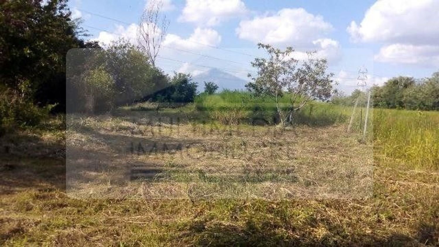 3850m² Land in Rho, Italy No. 158969