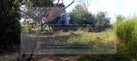 3850m² Land in Rho, Italy No. 158969 8
