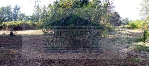 3850m² Land in Rho, Italy No. 158969 9