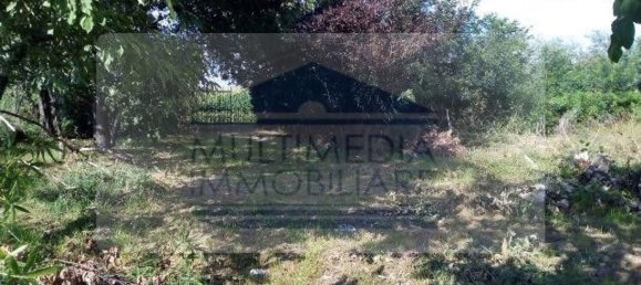 3850m² Land in Rho, Italy No. 158969 7