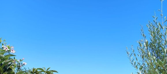 4-Zimmer Villa in Termini Imerese, Italy, Nr. 278467 20