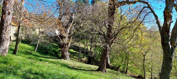 4 rooms House in Garessio, Italy No. 164560 47