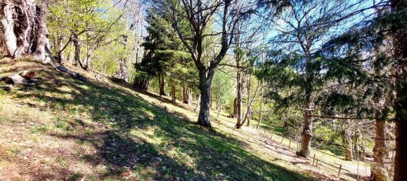 4 rooms House in Garessio, Italy No. 164560 49