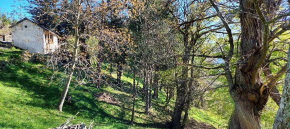 4 rooms House in Garessio, Italy No. 164560 48