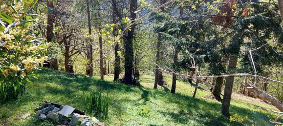 4 rooms House in Garessio, Italy No. 164560 43