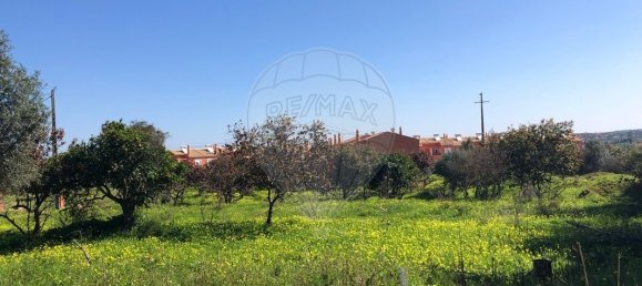 4 Schlafzimmer Villa in Silves, Portugal, Nr. 157131 19