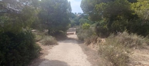 3 Schlafzimmer Haus in Dehesa De Campoamor, Spain, Nr. 188733 18