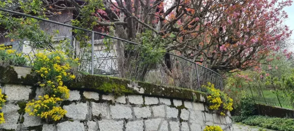 10 rooms Villa in Valduggia, Italy No. 130299 6