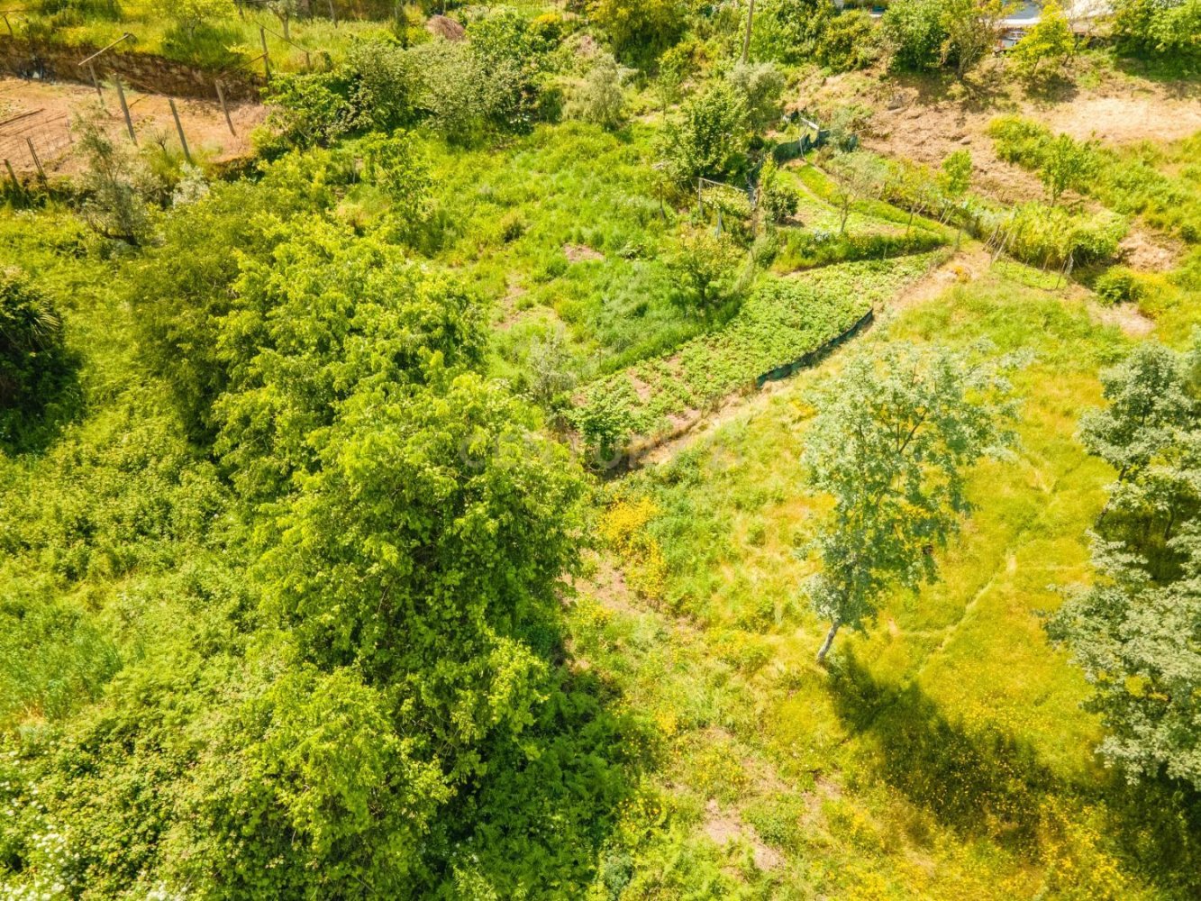 Земельный участок в Марку ди Канавезиш, Португалия № 210913