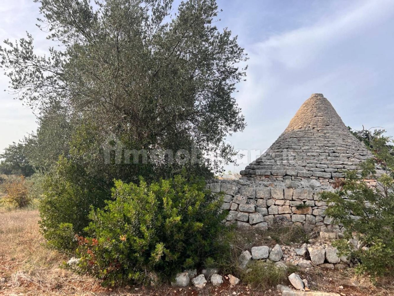 2 bedrooms House in Polignano a Mare, Italy No. 161951