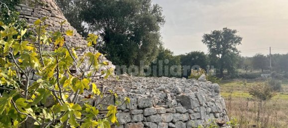 2 bedrooms House in Polignano a Mare, Italy No. 161951 9