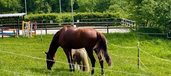 Quinta T6 em Neuwied, Germany N.º 287693 14