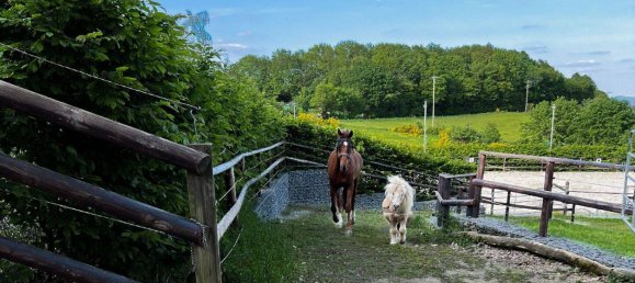 Quinta T6 em Neuwied, Germany N.º 287693 15