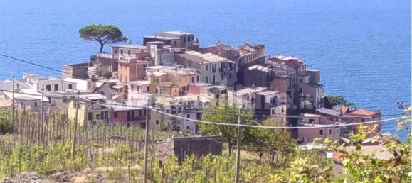 5 rooms Apartment in Camporosso, Italy No. 353304 13