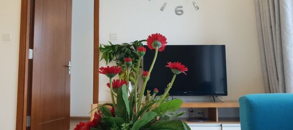 2 bedrooms Apartment in Binh Thanh, Vietnam No. 17411 8