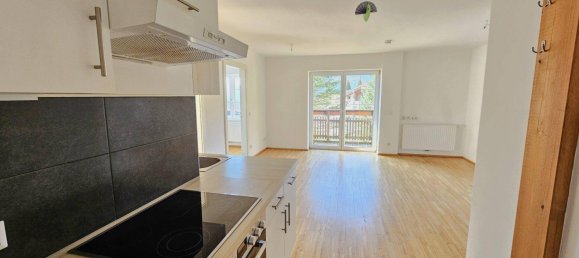 Gewerbliche Immobilie in Radenthein, Austria 591m², Nr. 81481 22