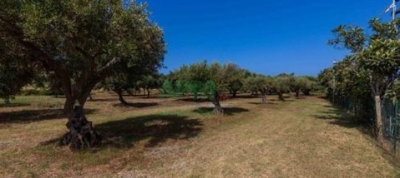 20 rooms Building in Ricadi, Italy No. 26319 46