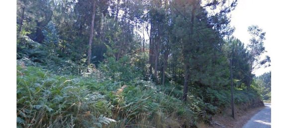 Grundstück in Baiao, Portugal 10750m², Nr. 62149 2