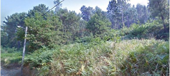 Grundstück in Baiao, Portugal 10750m², Nr. 62149 3