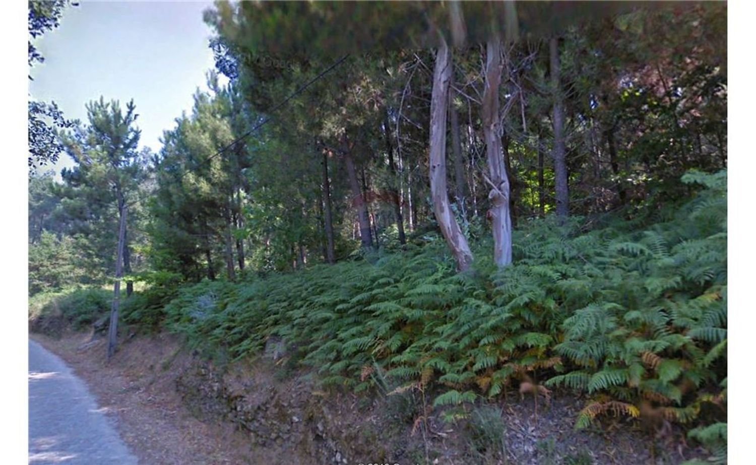 Grundstück in Baiao, Portugal 10750m², Nr. 62149