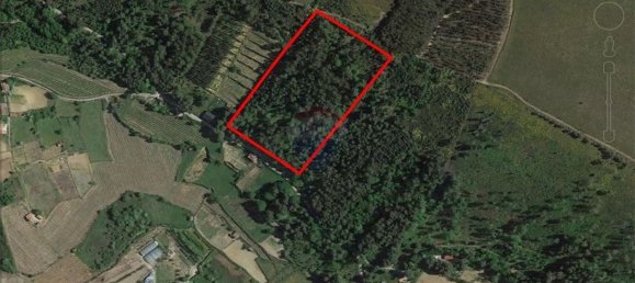 Grundstück in Baiao, Portugal 10750m², Nr. 62149 4