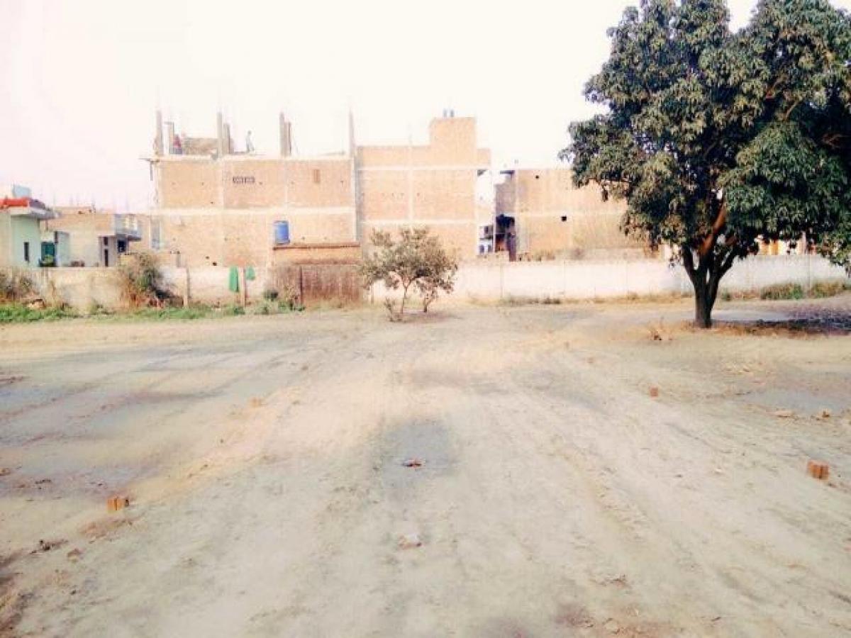  Land in Noida, India No. 65746