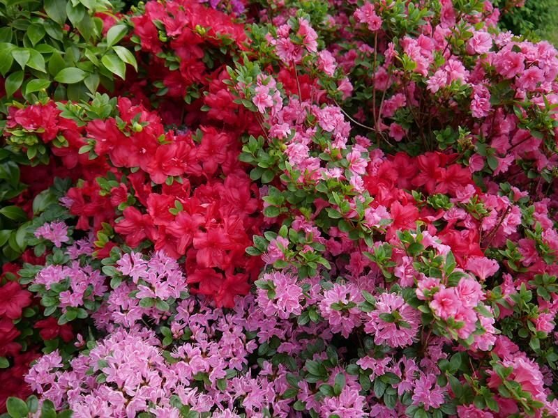 Casa de 7 divisões em Herne, Germany N.º 23428