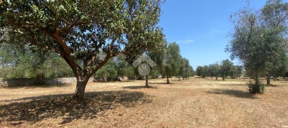 Studio in Ostuni, Italy, Nr. 31744 22