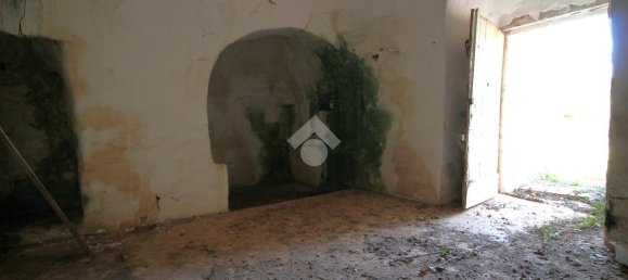 Studio in Ostuni, Italy, Nr. 31744 7