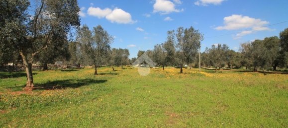 Studio in Ostuni, Italy, Nr. 31744 25