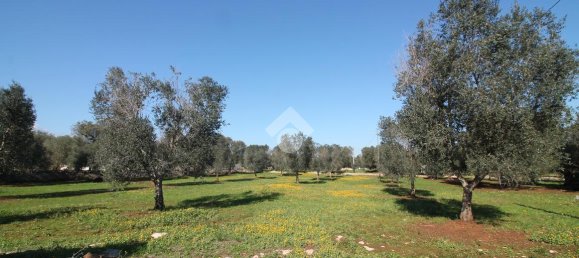 Studio in Ostuni, Italy, Nr. 31744 12