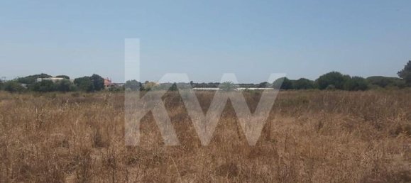 13460m² Land in Montenegro, Portugal No. 133194 5