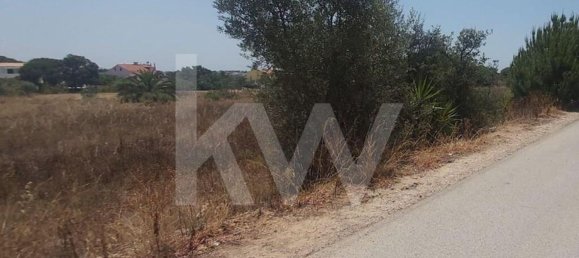 13460m² Land in Montenegro, Portugal No. 133194 24