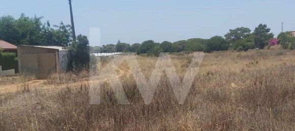 13460m² Land in Montenegro, Portugal No. 133194 3