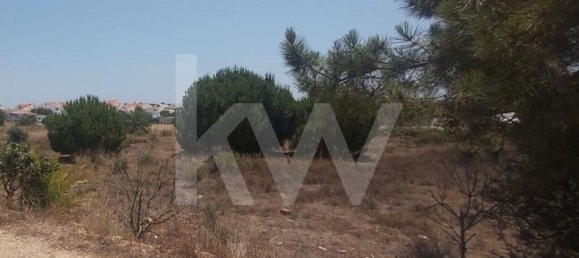 13460m² Land in Montenegro, Portugal No. 133194 14