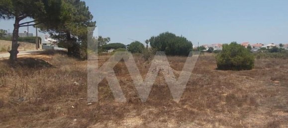 13460m² Land in Montenegro, Portugal No. 133194 17