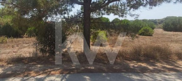 13460m² Land in Montenegro, Portugal No. 133194 12