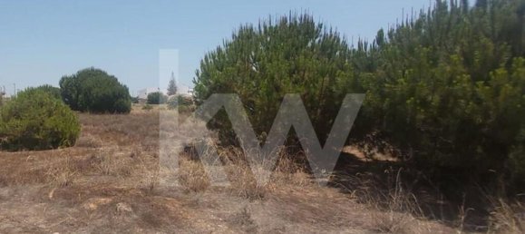 13460m² Land in Montenegro, Portugal No. 133194 16