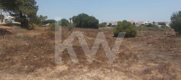 13460m² Land in Montenegro, Portugal No. 133194 18