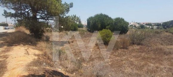 13460m² Land in Montenegro, Portugal No. 133194 11