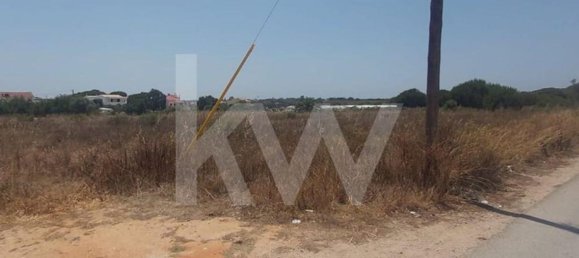 13460m² Land in Montenegro, Portugal No. 133194 8