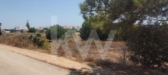 13460m² Land in Montenegro, Portugal No. 133194 25