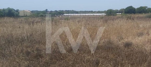 13460m² Land in Montenegro, Portugal No. 133194 6