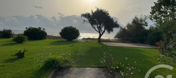 استوديو في San-Nicolao, France رقم 355751 9