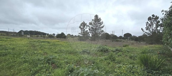 5 bedrooms House in Montijo, Portugal No. 179731 8