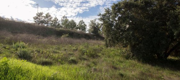 Земельный участок 195м² в Аленкер, Португалия № 95770 5