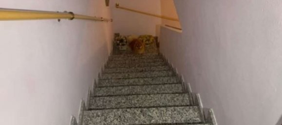 Casa de 4 divisões em Roncaro, Italy N.º 7650 56