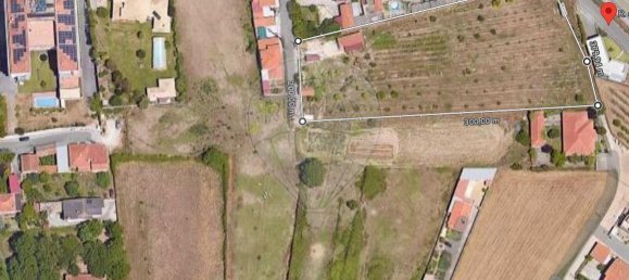 Grundstück in Leiria, Portugal 6000m², Nr. 81394 2