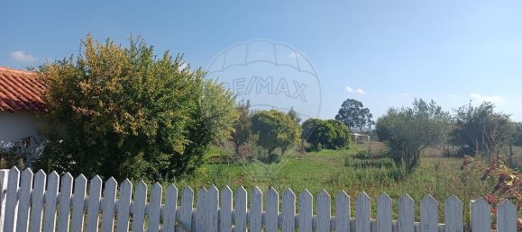 Grundstück in Leiria, Portugal 6000m², Nr. 81394 5